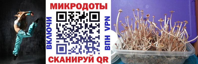 OMG сайт  shop как зайти  Псилоцибиновые грибы GOLDEN TEACHER  Арзамас 